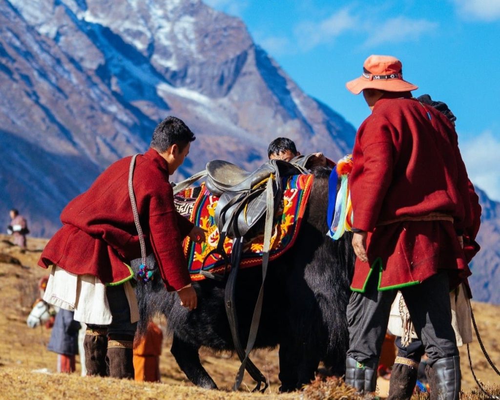 royalhighlandfestival